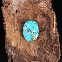 نگین فیروزه شجری کد 11468 - جواهری مشاهیر