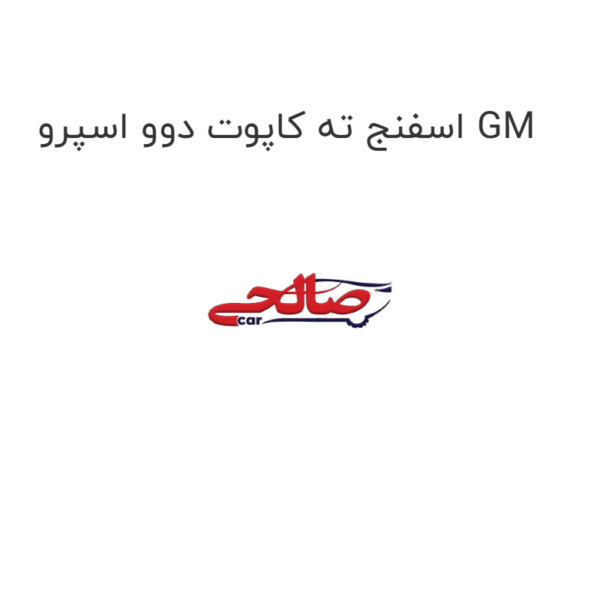 اسفنج ته کاپوت دوو اسپرو GM