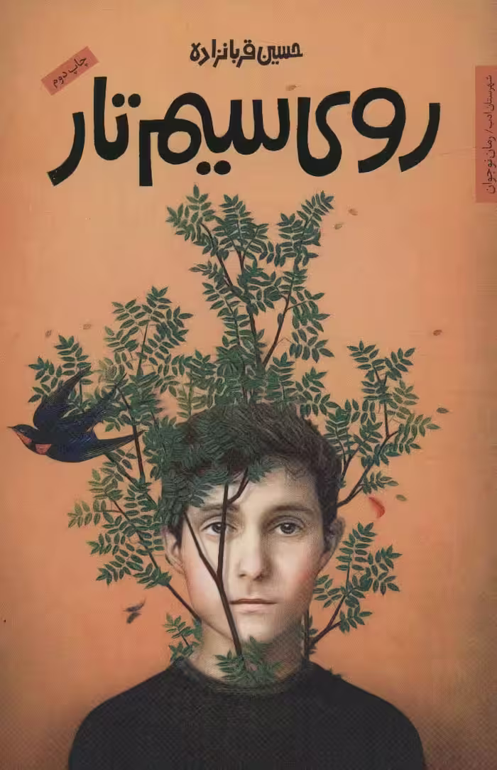 روی سیم تار (رمان نوجوان13) - ناشربوک | خرید آنلاین کتاب