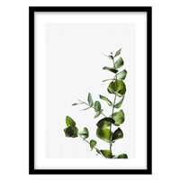 قیمت و خرید تابلو دکوراتیو مدل عکاسی مینیمال برگ اکالیپتوس کد 1285