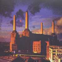 حیوانات (Pink Floyd،Animals)،(سی دی صوتی) - ناشربوک | خرید آنلاین کتاب