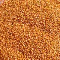 خاکشیر فوق اعلا درجه یک با قیمت مناسب