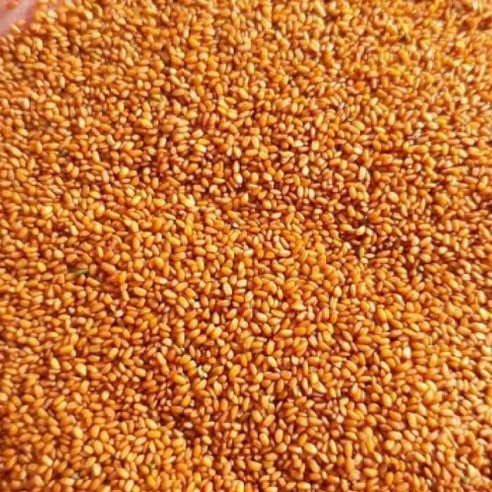 خاکشیر فوق اعلا درجه یک با قیمت مناسب