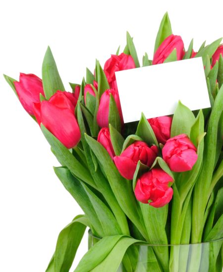 خرید و دانلود عکس IranBCS کد 28296 | پیک فاکس | Pic Fox