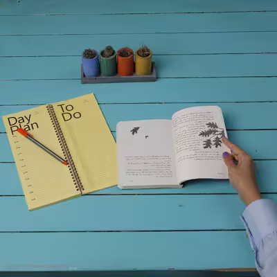 کتاب درخت آرزو اثر کاترین اپلگیت انتشارات پرتقال