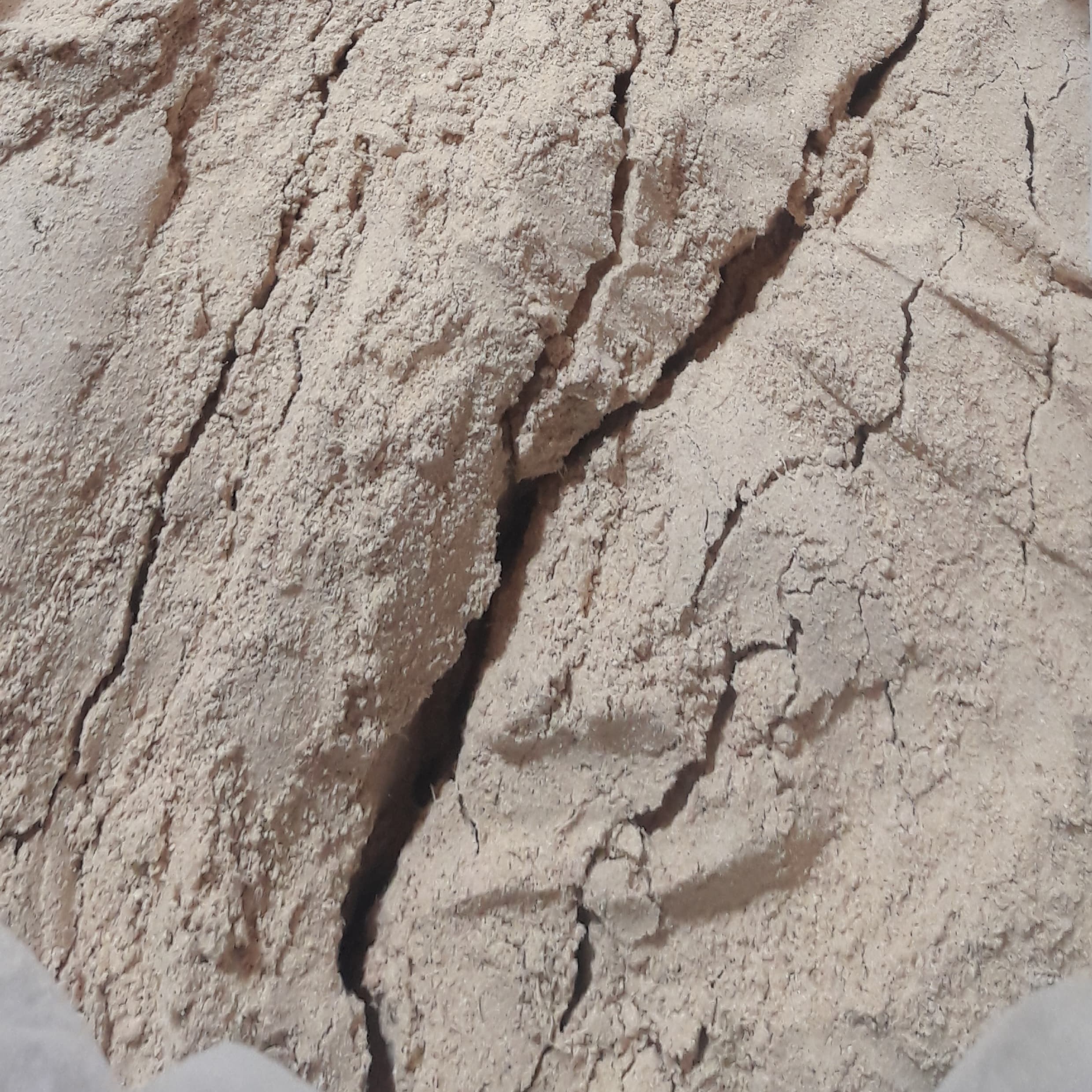 زنجبیل نرم ساب صد در صد خالص یک کیلوگرمی