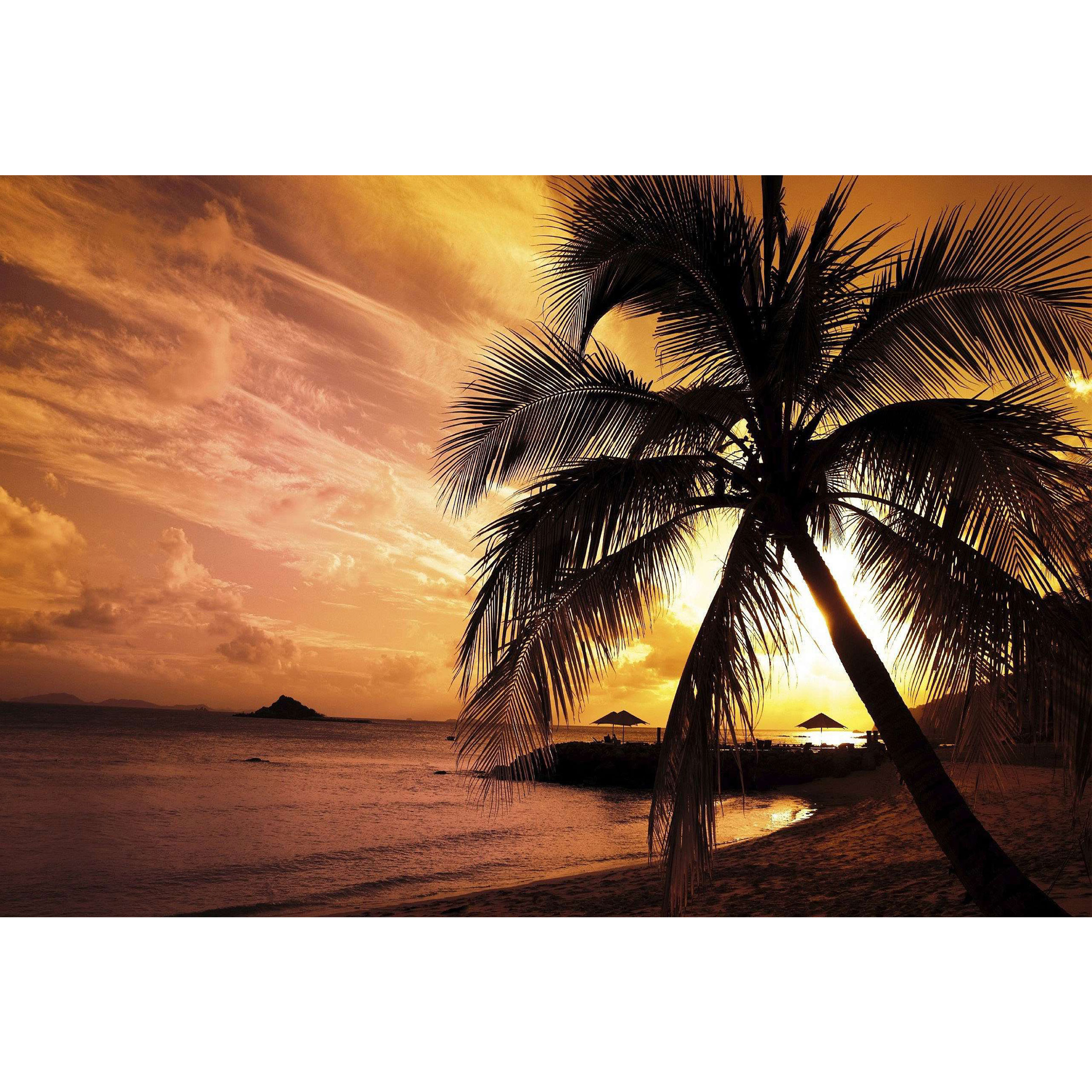 تابلو شاسی مدل نخل و غروب آفتاب و دریا T7451