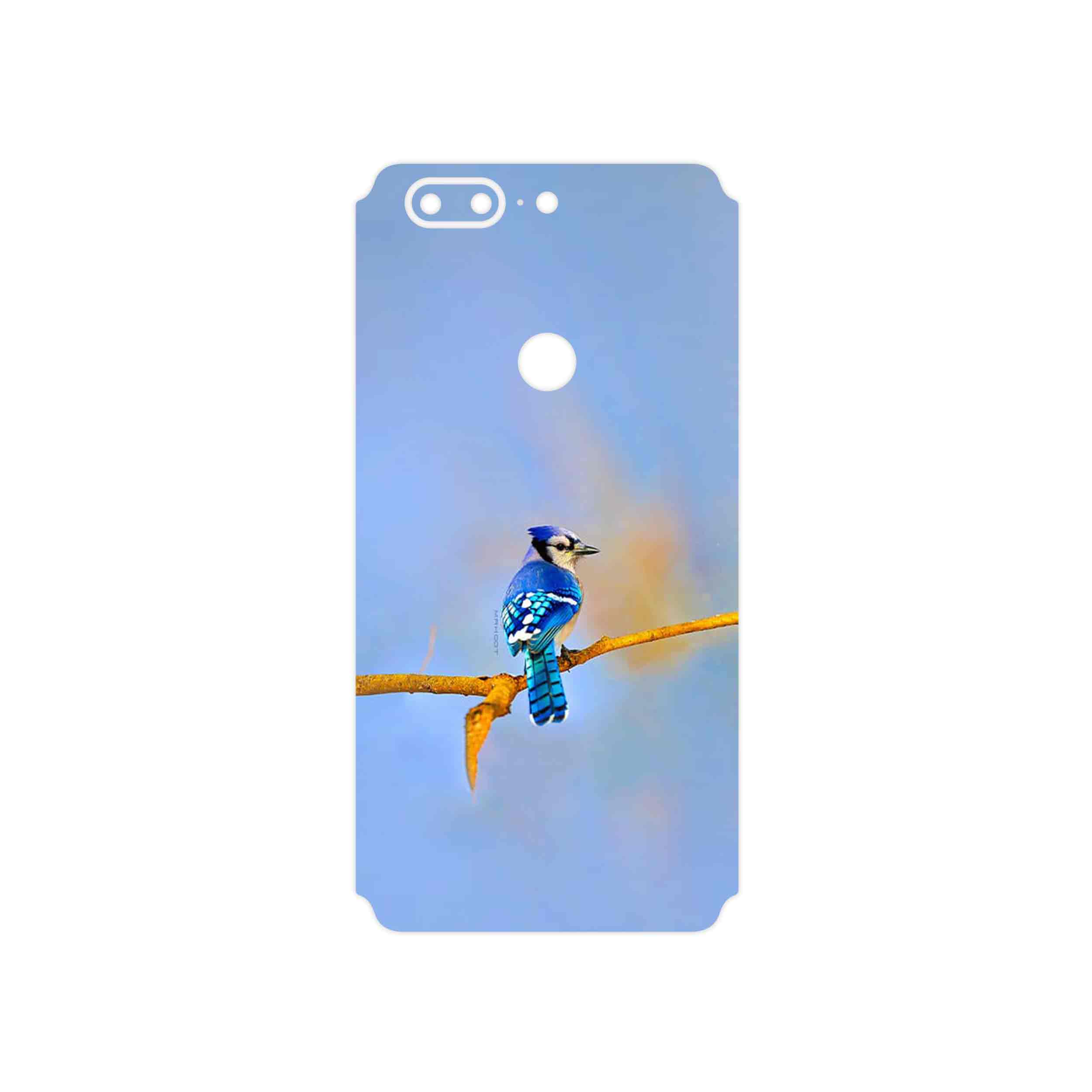 برچسب پوششی ماهوت مدل Cyanocitta cristata مناسب برای گوشی موبایل وان پلاس 5T