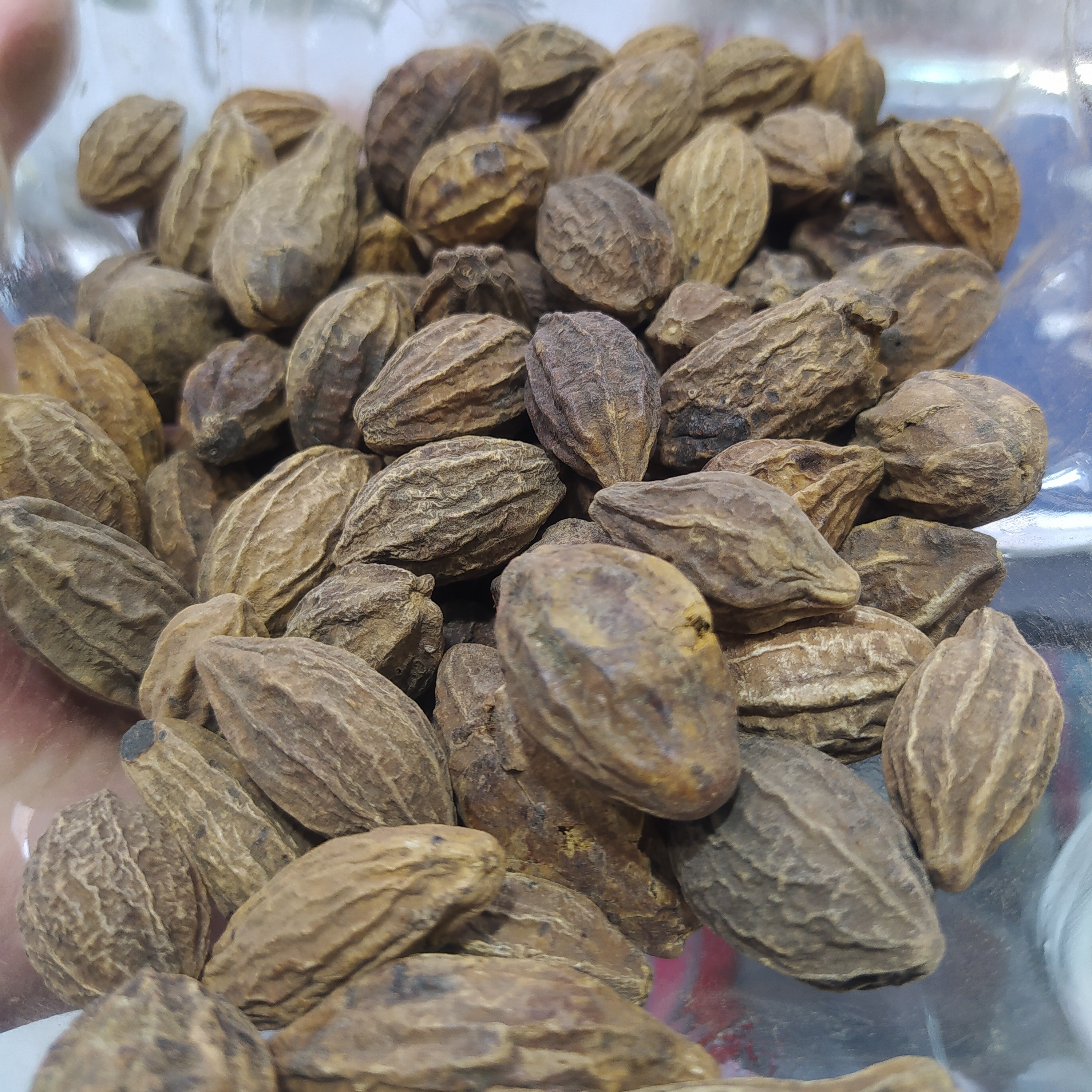 حلیله کابلی  50 گرمی 