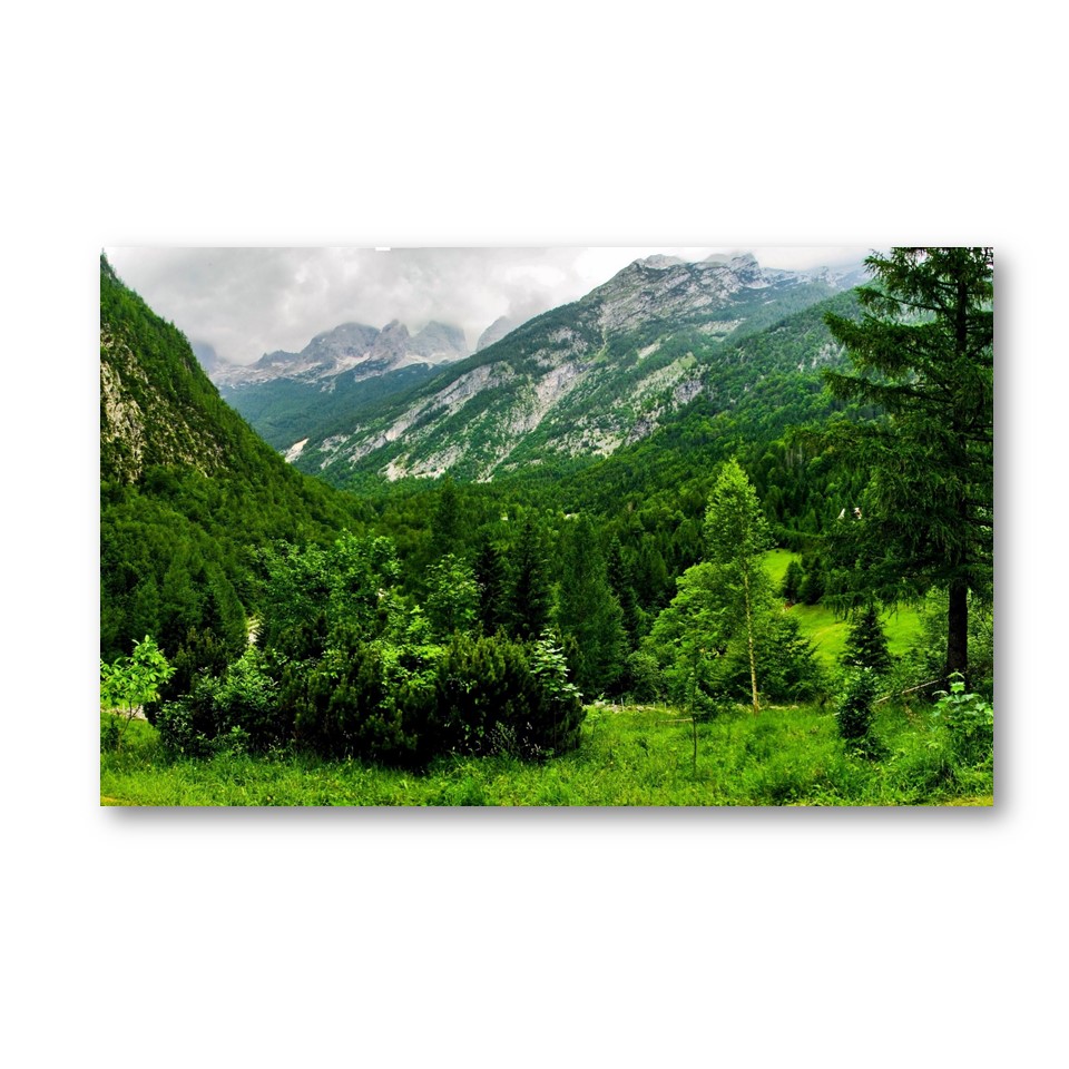 تابلو شاسی مدل کوه سبز