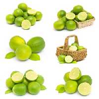 خرید و دانلود عکس Food-Part-18 کد 19419 | پیک فاکس | Pic Fox