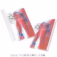 کتاب ارزیابی و عدم تعادل عضلانی رویکرد جاندا انتشارات نرسی