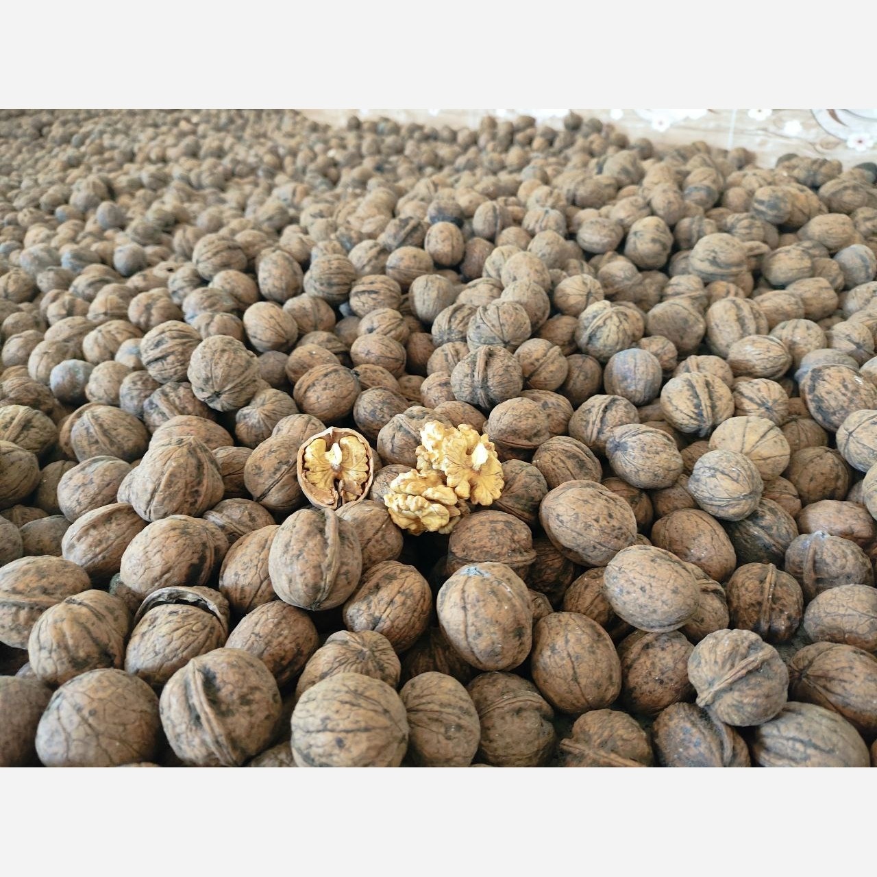 گردو اصل تویسرکان پوست کاغذی امسالی 1403 بشرط تازه بودن