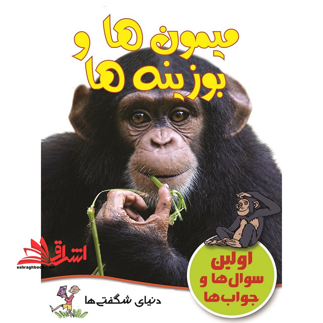 میمون ها و بوزینه ها - فروشگاه کتاب اشراق