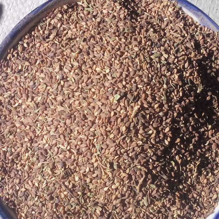 کنجد محلی (درجه1) نیم کیلویی