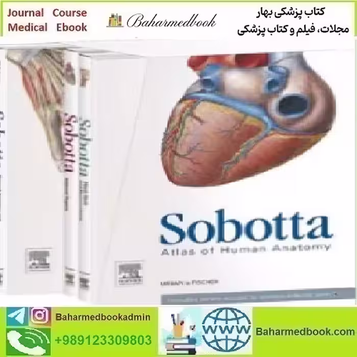 Sobotta Atlas of Human Anatomy Package 3 Vol 2013 TRU