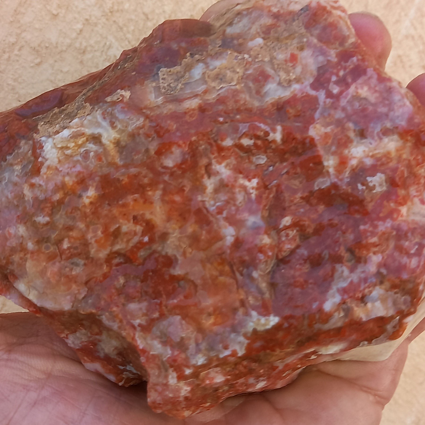 راف جاسپر خاص بی نظیر کویر