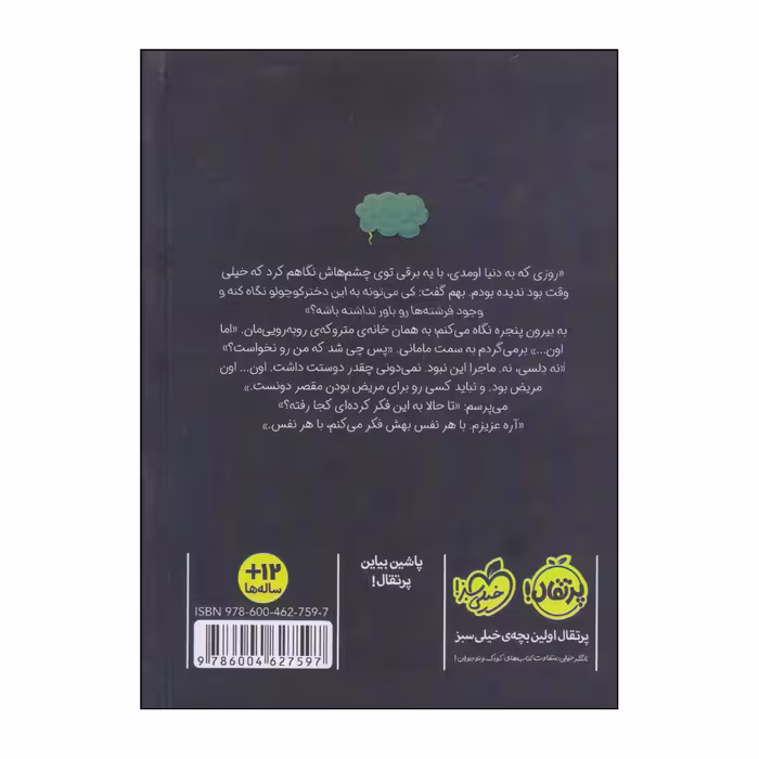 کتاب تقصیر باران نیست اثر لیندا موللی هانت انتشارات پرتقال