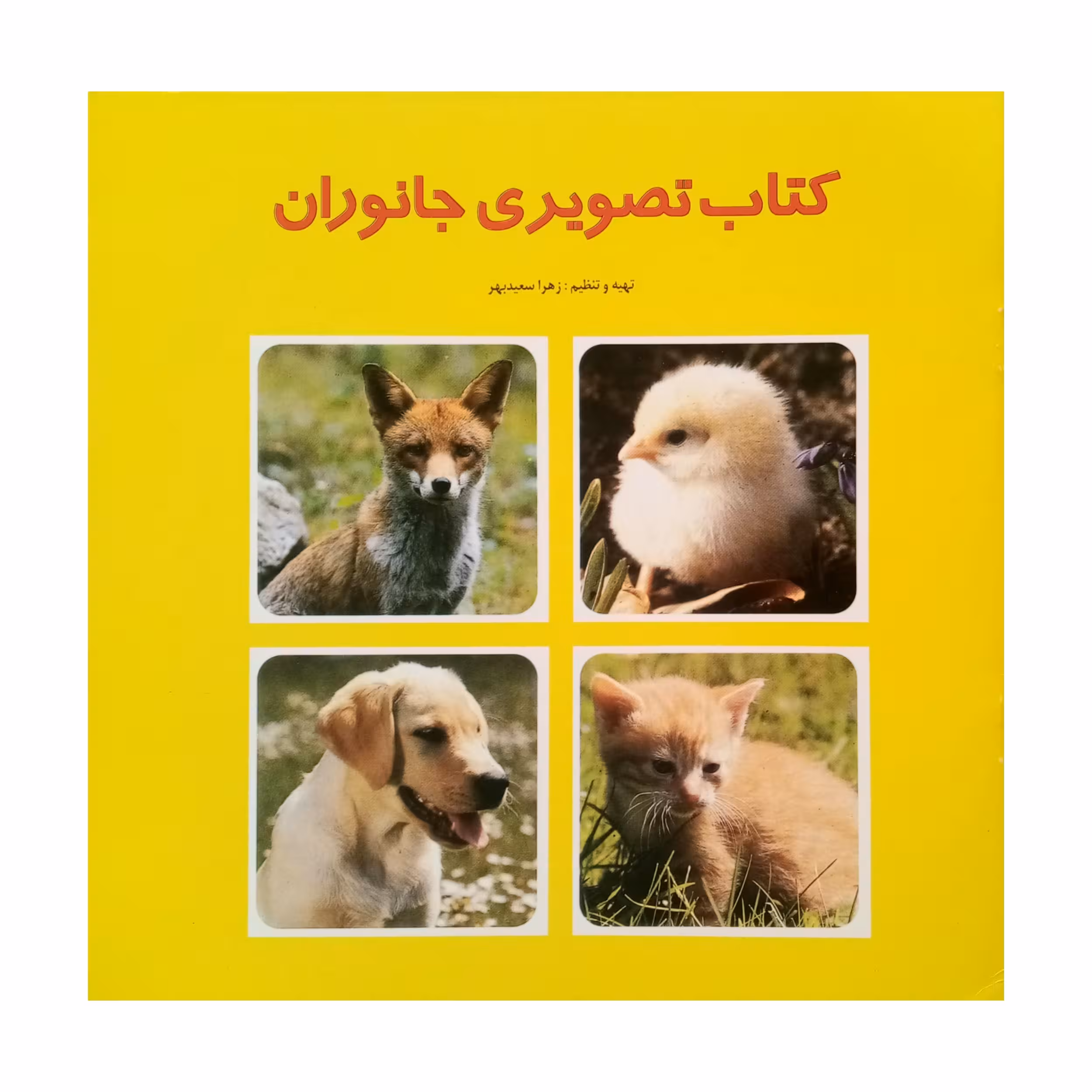 کتاب تصوىرى جانوران اثر زهرا سعىدبهر انتشارات فرشتگان