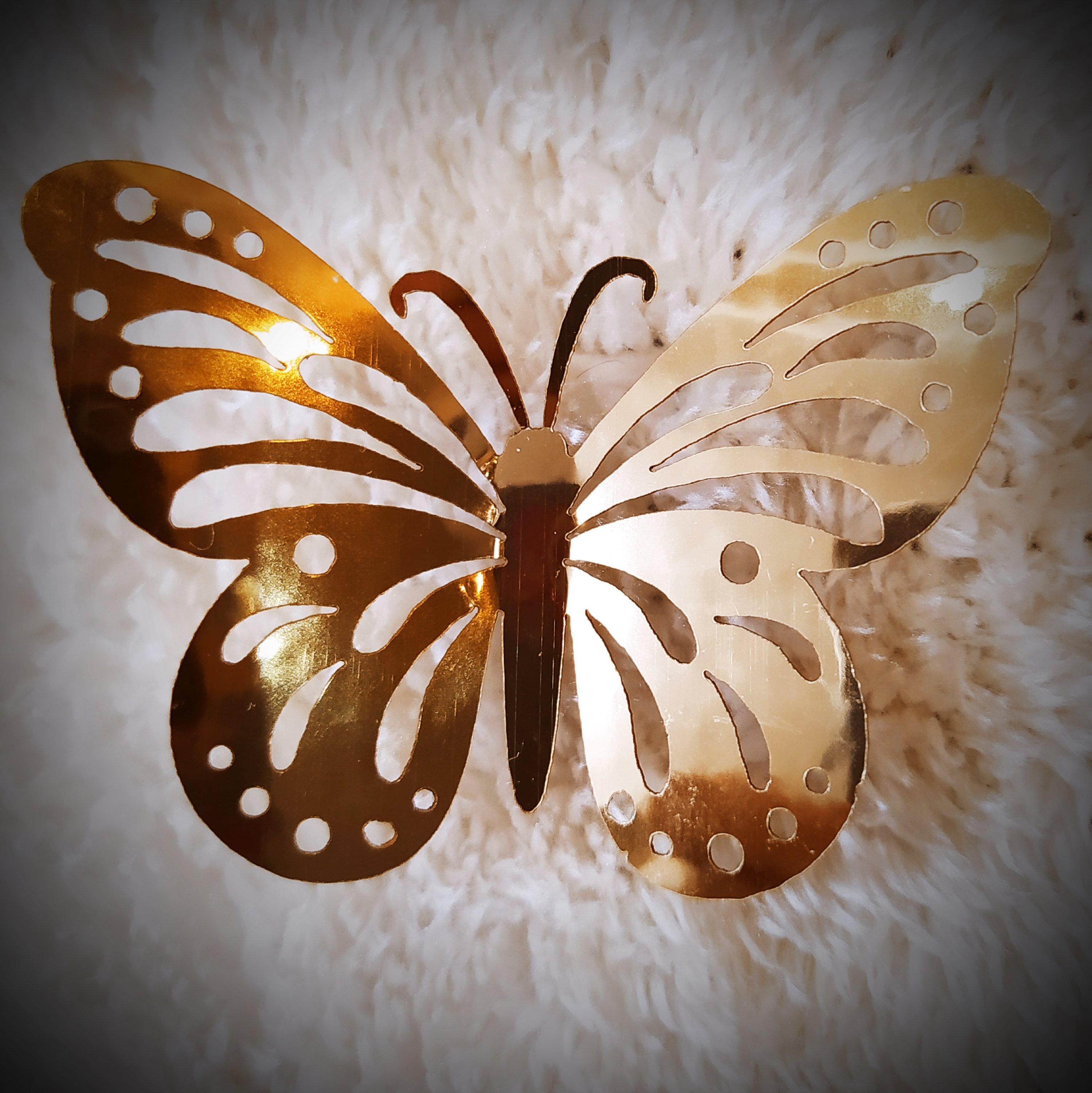 پروانه مشبک سایز بزرگ 20عددی