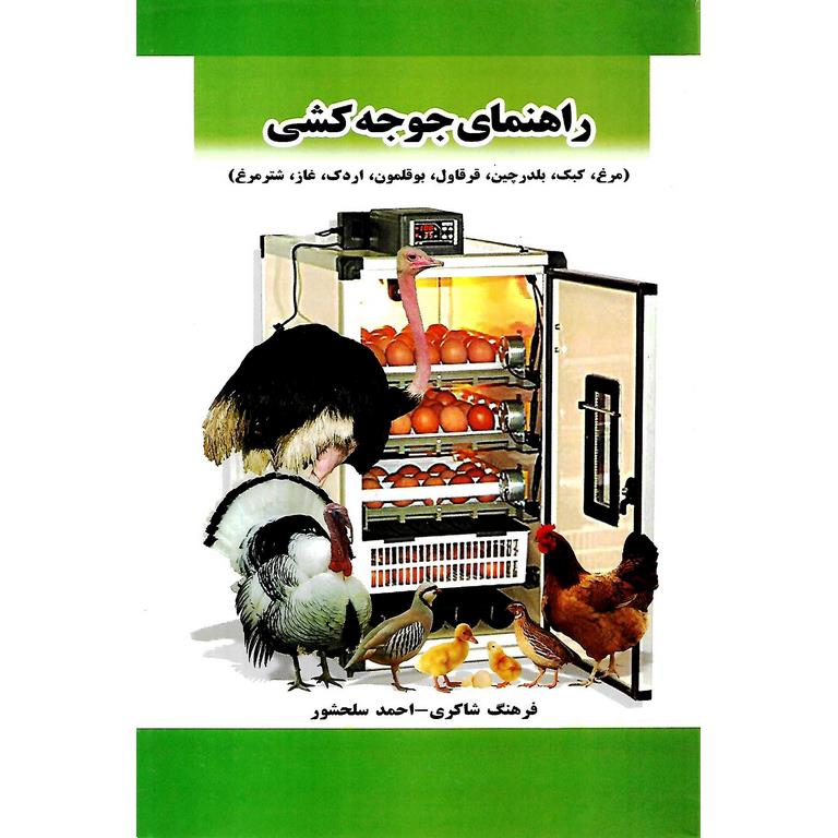 راهنمای جوجه کشی
