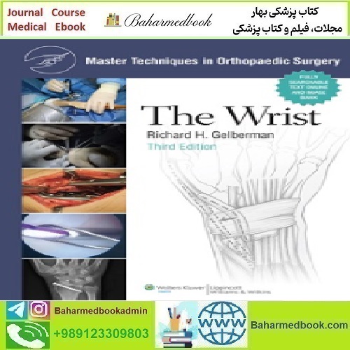 Master Techniques in Orthopaedic Surgery The Wrist 2010 T