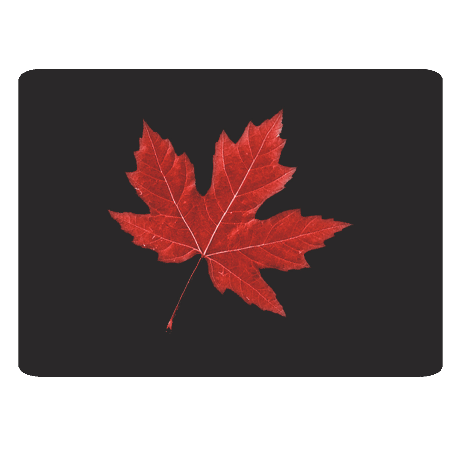 ماوس پد مدل KM 298 برگ