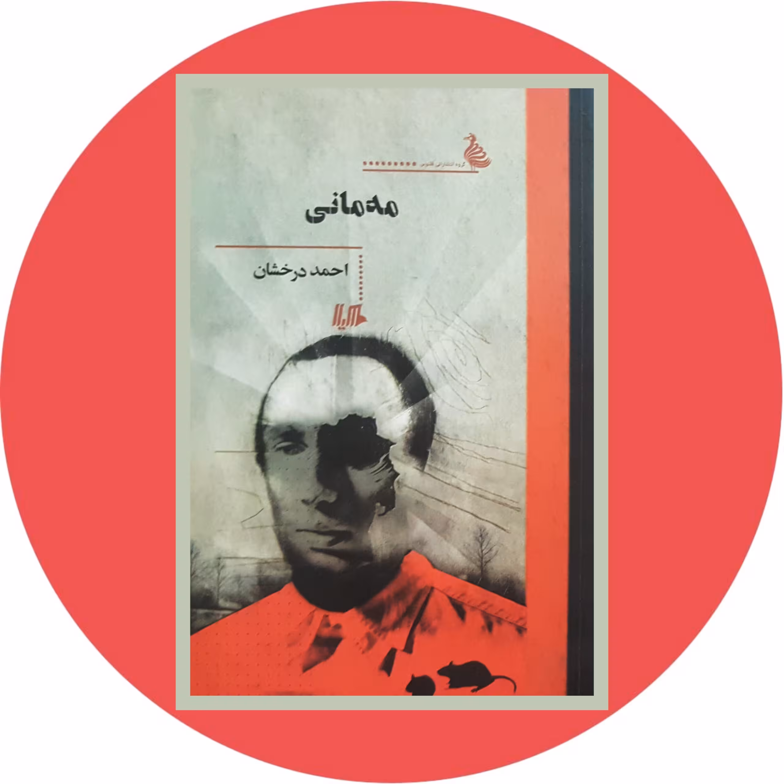 کتاب مه مانی - خرید با تخفیف چهل درصد ازکتاب دایره قهوه ای -