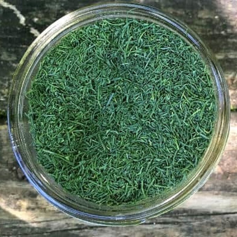 شوید خشک 450 گرمی