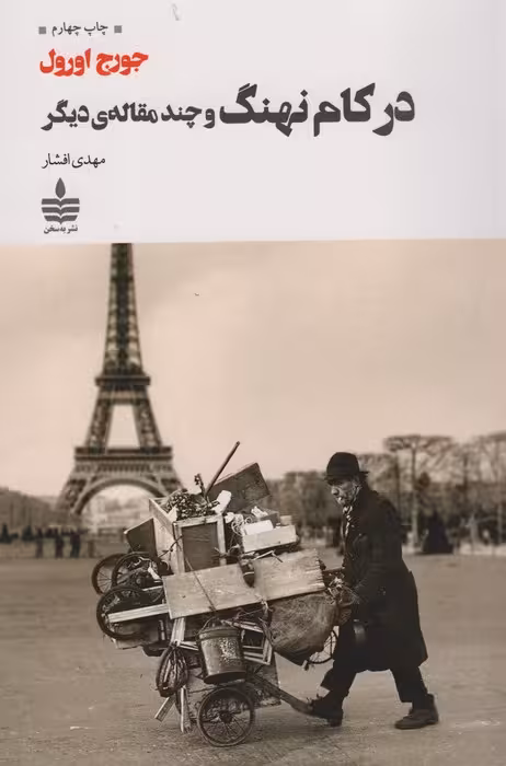 در کام نهنگ و چند مقاله دیگر - ناشربوک | خرید آنلاین کتاب