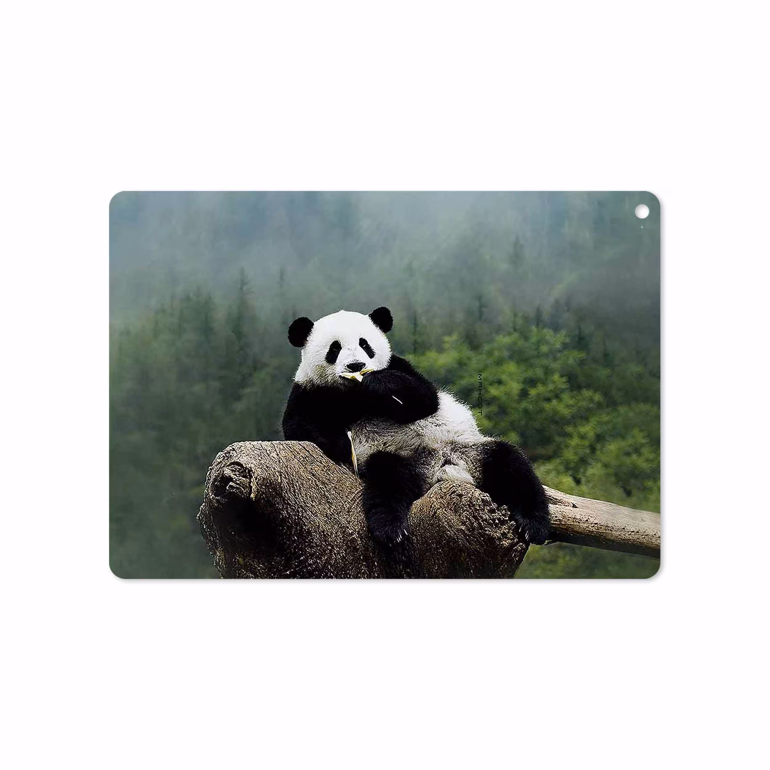 برچسب پوششی ماهوت مدل Panda مناسب برای تبلت اپل iPad Air 2 2014 A1566