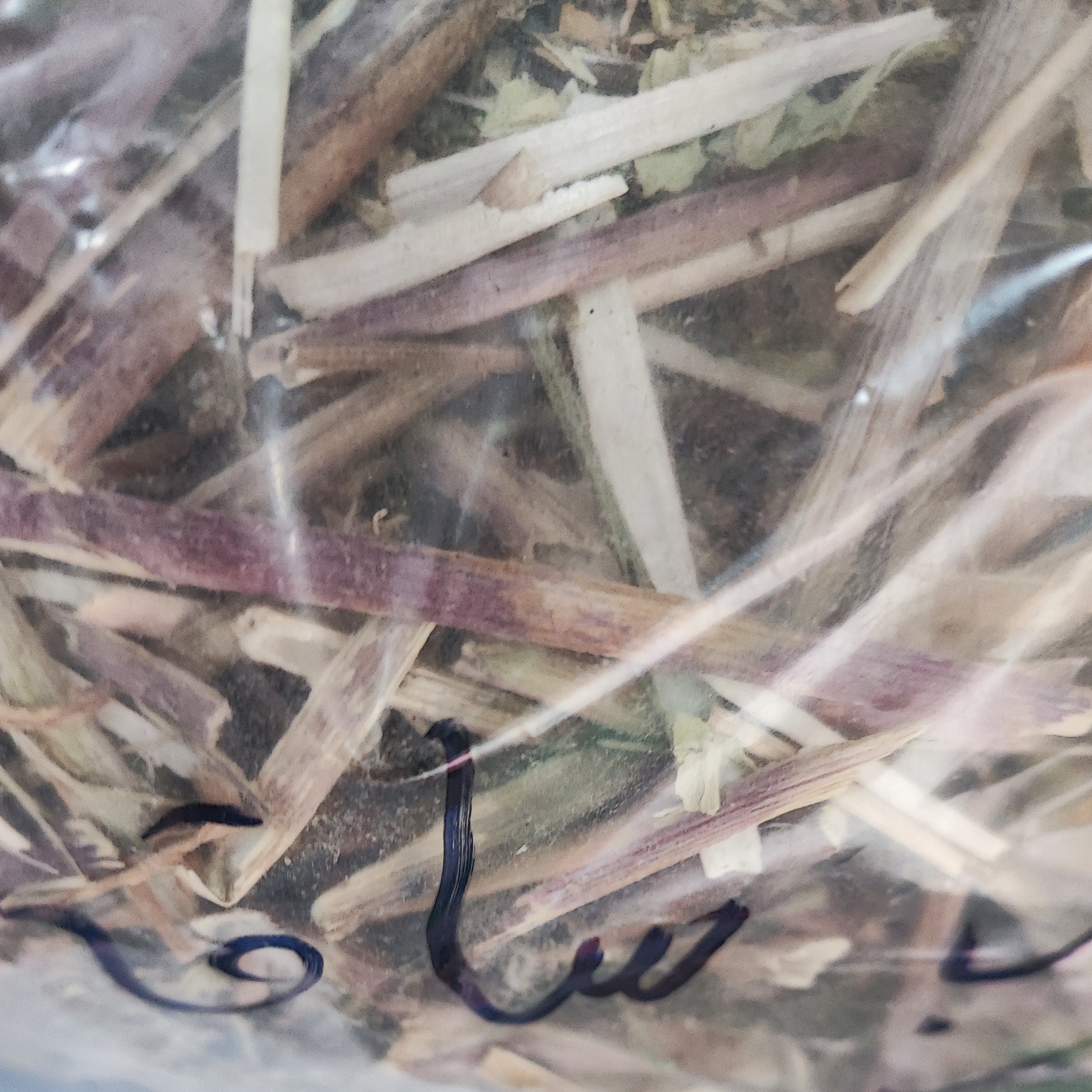 ریشه کاسنی چوب کاسنی 