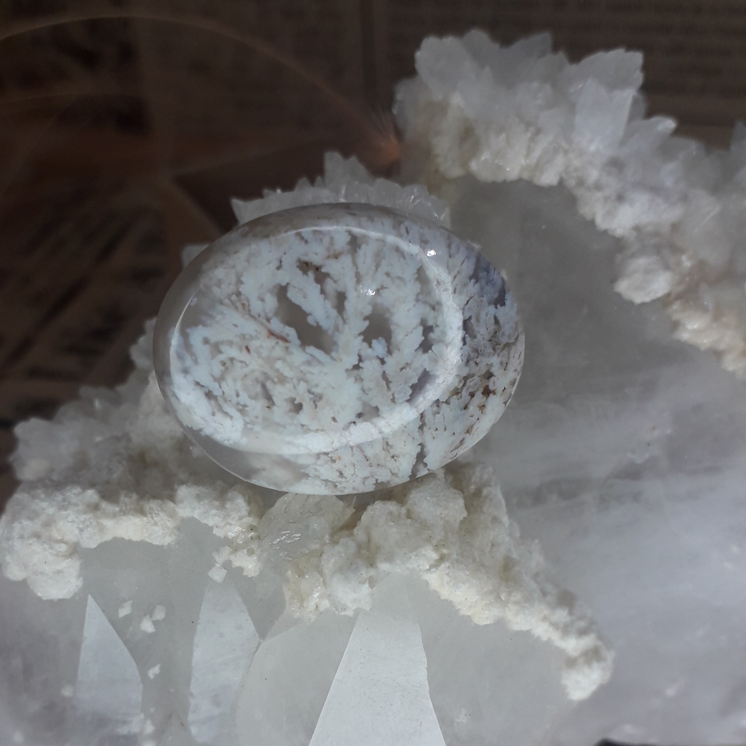 نگین شجر معدنی فردوس بهاره