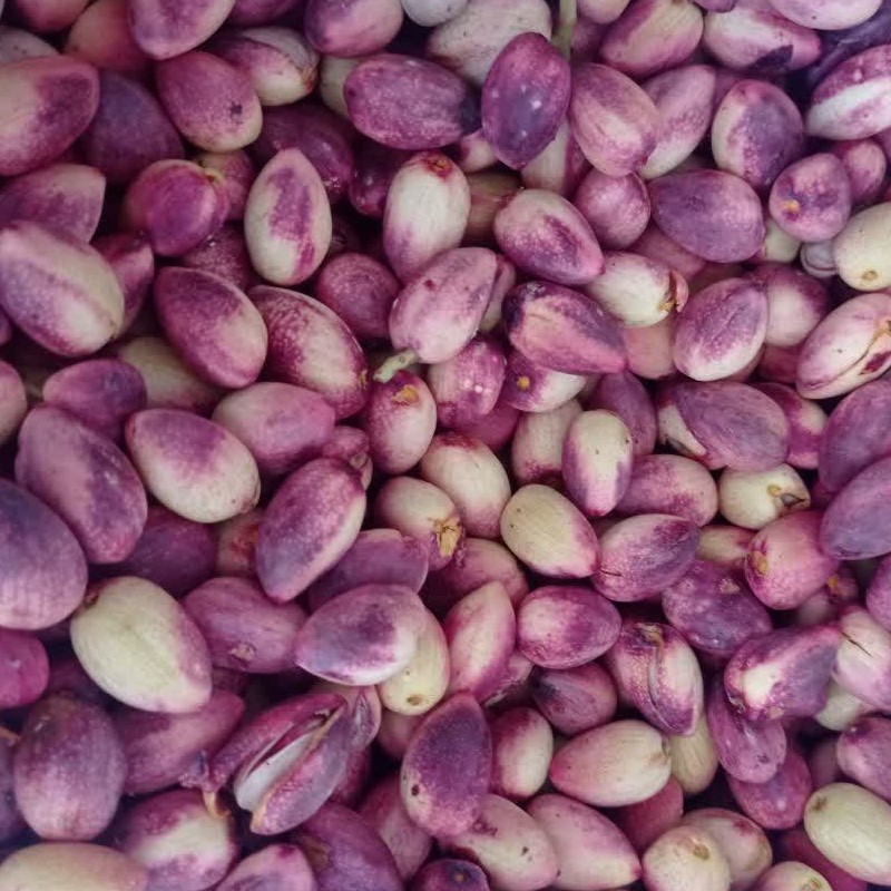 پسته تر و تازه بسیار مرغوب از فیض آباد مه ولات خراسان رضوی بسته چهار کیلویی