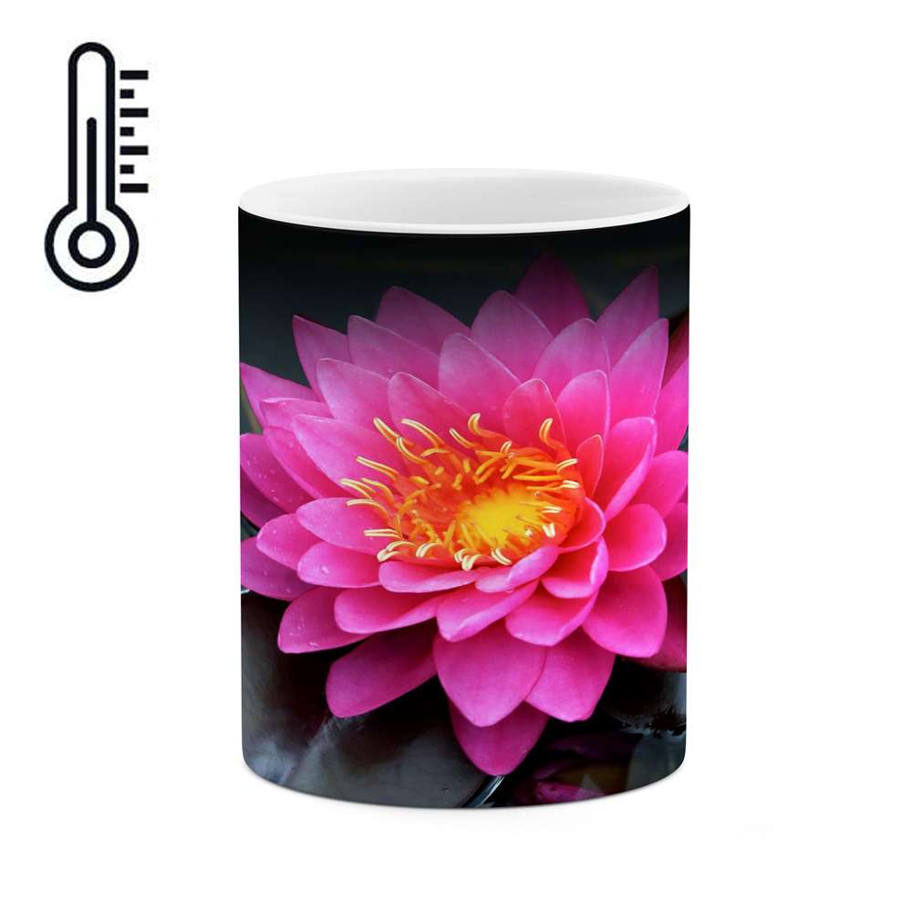 ماگ حرارتی کاکتی طرح گل مدل mgh16414