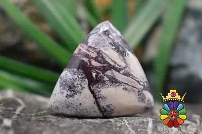 جاسپر چینی(پورسلاین جاسپر)