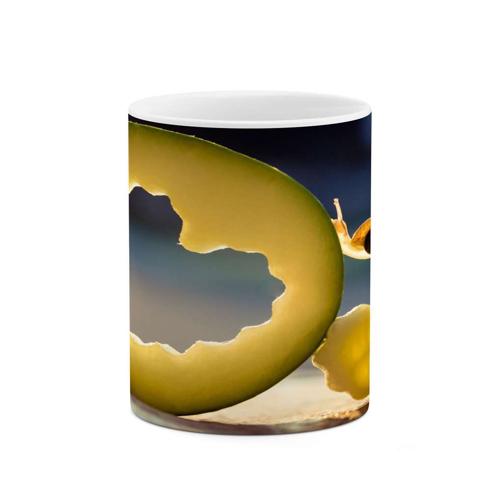 ماگ کاکتی طرح فانتزی مدل mgs14324