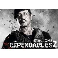 تابلو شاسی مدل بازیگر سیلوستر استالونه راکی T6289