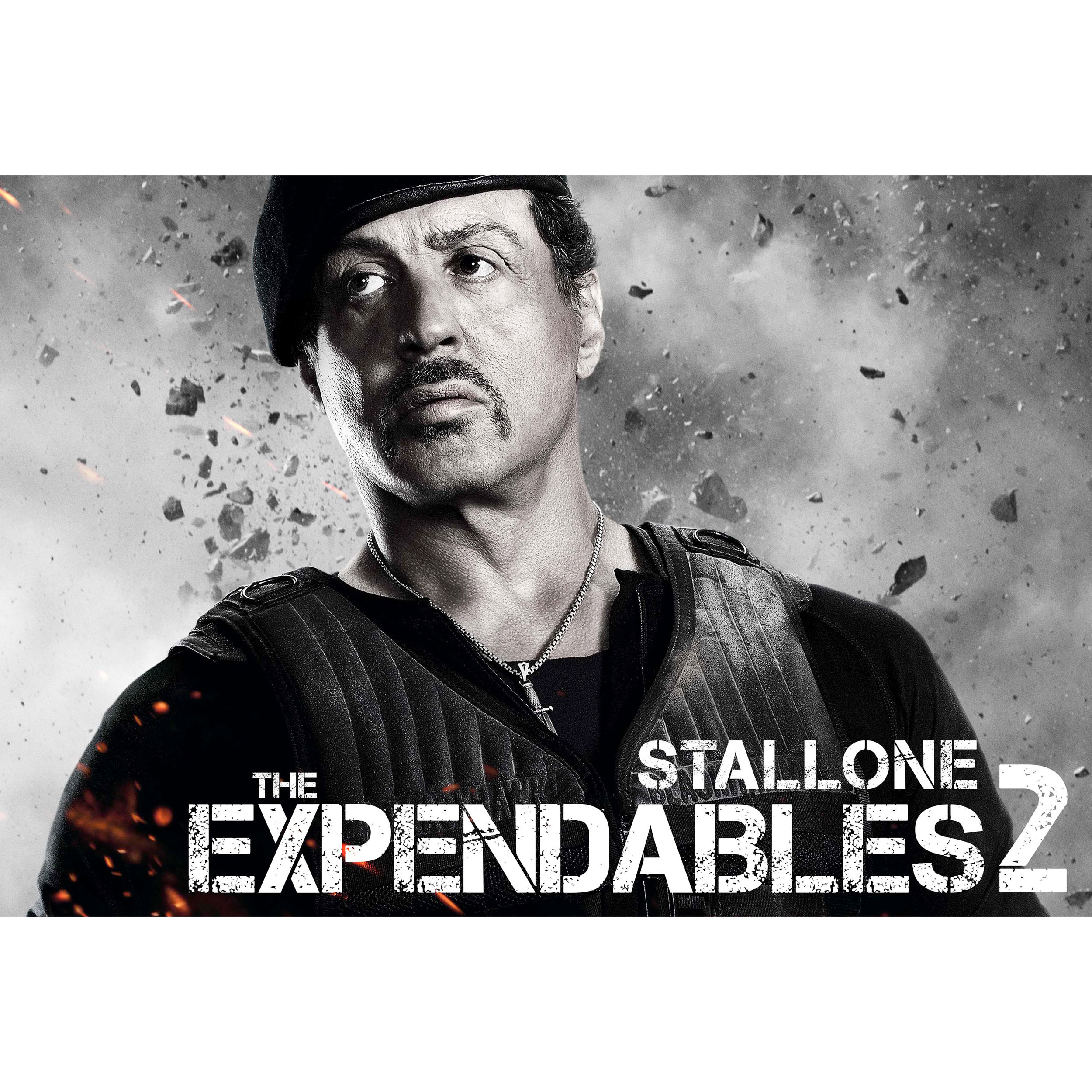 تابلو شاسی مدل بازیگر سیلوستر استالونه راکی T6289