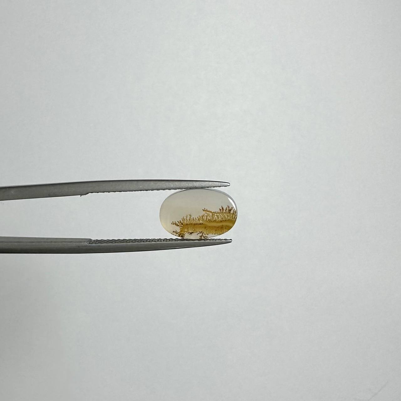 سنگ معدنی عقیق شجر ایران 235324