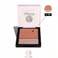 ماجولان رژ گونه و هایلایتر شماره B 405 H