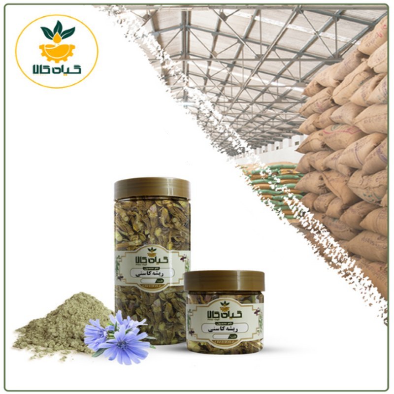 ریشه کاسنی با کیفیت عالی، بار امسالی و تازه(65گرمی )