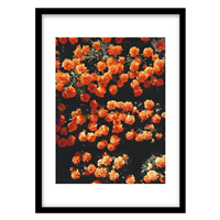 قیمت و خرید تابلو دکوراتیو مدل عکاسی بوته گل کد 0271