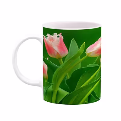 ماگ طرح گل مدل mgs12114