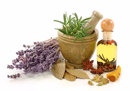 پاورپوینت معرفی برخی از گیاهان