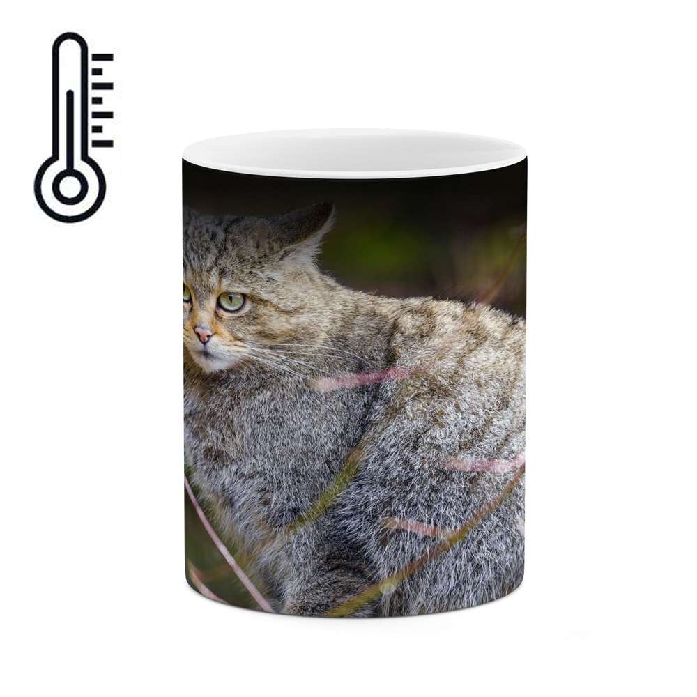 ماگ حرارتی کاکتی طرح گربه مدل mgh16446