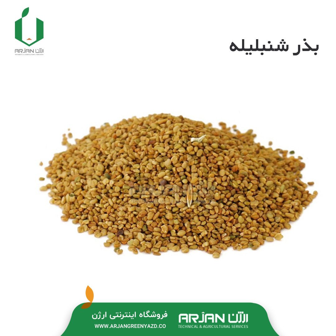 بذر شنبلیله پا بلند اردستان ( بذر کاملا سرت شده میباشد )