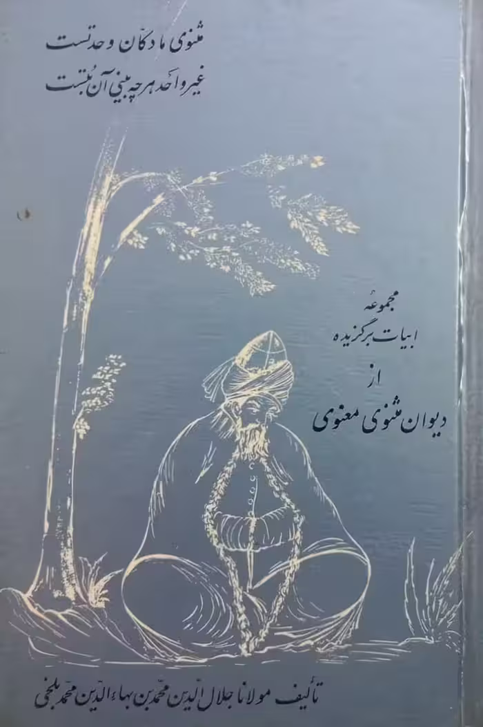 مجموعه ابیات برگزیده از دیوان مثنوی معنوی
