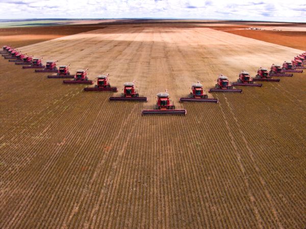 خرید و دانلود عکس Collection farming seeding plants sprout earth bed 2 کد 12857 | پیک فاکس | Pic Fox