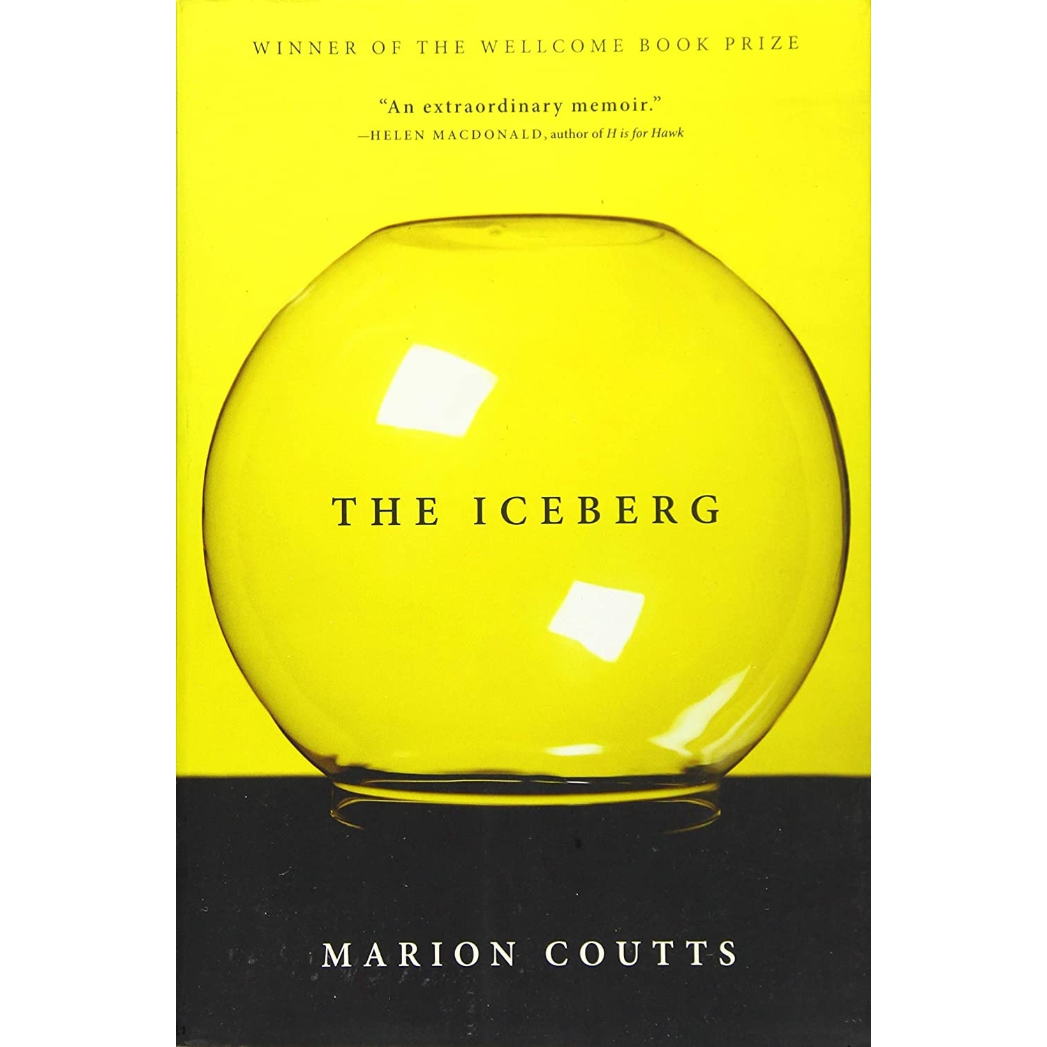 کتاب The Iceberg اثر Marion Coutts انتشارات Grove Press, Black Cat